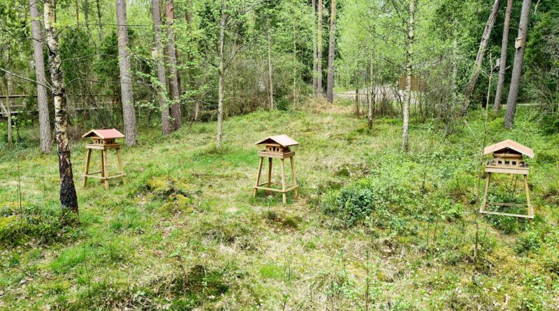 Store Mosse Nationalpark – Myrmark i Småland