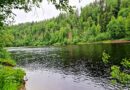Tre kommuner i Västerbotten – Nordmaling, Bjurholm och Vännäs