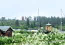 Från kust till inland – Besök i kommunerna; Robertsfors, Vindeln och Lycksele