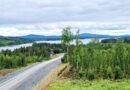 Fjällnära stillhet – Bilresa genom Malå och Norsjö