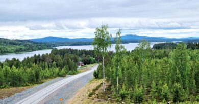 Fjällnära stillhet – Bilresa genom Malå och Norsjö